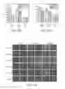 Fig. 12 - MESOSCALE NANOPARTICLES FOR SELECTIVE TARGETING TO THE KIDNEY AND METHODS OF THEIR THERAPEUTIC USE