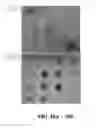 Fig. 19 - Composite flash-precipitated nanoparticles