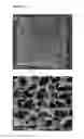 Fig. 07 - Injectable Cryogel Vaccine Devices and Methods of Use Thereof