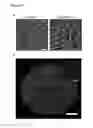 Fig. 40 - Injectable Cryogel Vaccine Devices and Methods of Use Thereof