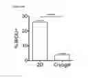 Fig. 45 - Injectable Cryogel Vaccine Devices and Methods of Use Thereof