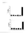 Fig. 58 - Injectable Cryogel Vaccine Devices and Methods of Use Thereof