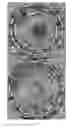 Fig. 15 - Polymer fiber scaffolds and uses thereof