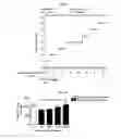 Fig. 06 - Composition for preventing or treating muscle weakness-related diseases comprising sobrerol