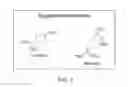 Fig. 04 - NUTRACEUTICAL COMPOSITION FOR THE TREATMENT OF INFLAMMATION