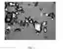 Fig. 04 - Pharmaceutically acceptable salts of B-Guanidinopropionic acid with improved properties and uses thereof