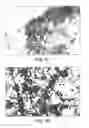 Fig. 05 - METHODS OF TREATING PARKINSON'S DISEASE USING VIRAL VECTORS