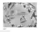 Fig. 04 - Pharmaceutical composition capable of the incorporation of lenalidomide in various crystalline modifications