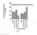 Fig. 02 - 3-(1-oxo-4-((4-((3-oxomorpholino)methyl)benzyl)oxy)isoindolin-2-yl)piperidine-2,6-dione and isotopologues thereof