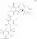 Fig. 07 - 3-(1-oxo-4-((4-((3-oxomorpholino)methyl)benzyl)oxy)isoindolin-2-yl)piperidine-2,6-dione and isotopologues thereof
