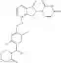 Fig. 101 - 3-(1-oxo-4-((4-((3-oxomorpholino)methyl)benzyl)oxy)isoindolin-2-yl)piperidine-2,6-dione and isotopologues thereof
