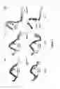 Fig. 02 - Compositions and methods for treating bone diseases