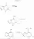 Fig. 13 - TGF beta receptor antagonists