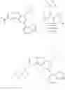 Fig. 22 - COMPOSITIONS COMPRISING A PI3K INHIBITOR AND AN HDAC INHIBITOR