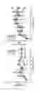 Fig. 03 - METHOD FOR INHIBITING ABSORPTION OF AND/OR PROMOTING EXCRETION OF LIPIDS USING D-PSICOSE