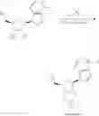 Fig. 119 - 6-6 bicyclic aromatic ring substituted nucleoside analogues for use as PRMT5 inhibitors