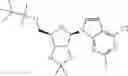Fig. 121 - 6-6 bicyclic aromatic ring substituted nucleoside analogues for use as PRMT5 inhibitors