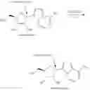 Fig. 137 - 6-6 bicyclic aromatic ring substituted nucleoside analogues for use as PRMT5 inhibitors