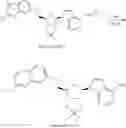 Fig. 363 - 6-6 bicyclic aromatic ring substituted nucleoside analogues for use as PRMT5 inhibitors