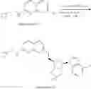 Fig. 365 - 6-6 bicyclic aromatic ring substituted nucleoside analogues for use as PRMT5 inhibitors