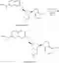 Fig. 598 - 6-6 bicyclic aromatic ring substituted nucleoside analogues for use as PRMT5 inhibitors