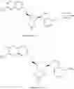Fig. 615 - 6-6 bicyclic aromatic ring substituted nucleoside analogues for use as PRMT5 inhibitors