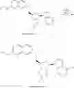 Fig. 621 - 6-6 bicyclic aromatic ring substituted nucleoside analogues for use as PRMT5 inhibitors