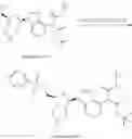 Fig. 629 - 6-6 bicyclic aromatic ring substituted nucleoside analogues for use as PRMT5 inhibitors