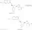 Fig. 631 - 6-6 bicyclic aromatic ring substituted nucleoside analogues for use as PRMT5 inhibitors