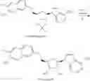 Fig. 837 - 6-6 bicyclic aromatic ring substituted nucleoside analogues for use as PRMT5 inhibitors