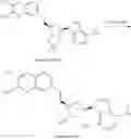 Fig. 909 - 6-6 bicyclic aromatic ring substituted nucleoside analogues for use as PRMT5 inhibitors