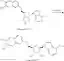Fig. 910 - 6-6 bicyclic aromatic ring substituted nucleoside analogues for use as PRMT5 inhibitors