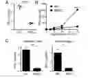 Fig. 01 - Method of treating severe asthma