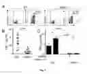 Fig. 09 - Method of treating severe asthma