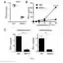 Fig. 11 - Method of treating severe asthma