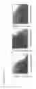 Fig. 12 - Bicarbonate as a potentiator for antimicrobial agents