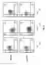 Fig. 05 - COMBINATION THERAPY COMBINING CAR + T CELLS WITH APPROPRIATELY TIMED IMMUNODULATORY ANTIBODIES