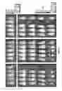 Fig. 10 - COMBINATION THERAPY COMBINING CAR + T CELLS WITH APPROPRIATELY TIMED IMMUNODULATORY ANTIBODIES