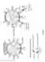 Fig. 05 - Methods and compositions for cells expressing a chimeric intracellular signaling molecule