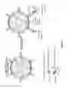 Fig. 16 - Methods and compositions for cells expressing a chimeric intracellular signaling molecule