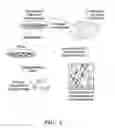 Fig. 02 - METHODS AND COMPOSITIONS FOR THE TREATMENT OR PREVENTION OF PARKINSON'S DISEASE
