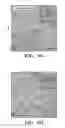 Fig. 10 - METHODS AND COMPOSITIONS FOR THE TREATMENT OR PREVENTION OF PARKINSON'S DISEASE