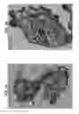 Fig. 04 - OXYGENATED DEMINERALIZED BONE MATRIX FOR USE IN BONE GROWTH