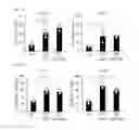 Fig. 03 - Human-derived bacteria that induce proliferation or accumulation of regulatory T cells