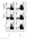 Fig. 04 - Human-derived bacteria that induce proliferation or accumulation of regulatory T cells