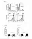 Fig. 06 - Human-derived bacteria that induce proliferation or accumulation of regulatory T cells
