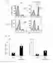 Fig. 07 - Human-derived bacteria that induce proliferation or accumulation of regulatory T cells