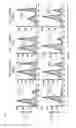 Fig. 09 - Human-derived bacteria that induce proliferation or accumulation of regulatory T cells