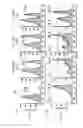Fig. 11 - Human-derived bacteria that induce proliferation or accumulation of regulatory T cells