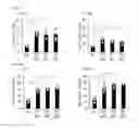 Fig. 12 - Human-derived bacteria that induce proliferation or accumulation of regulatory T cells